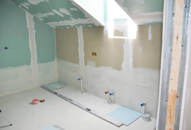 Best Ceiling Drywall Installation  in Downs, IL